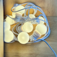 №27 Уличная гирлянда Belt-Light на белом проводе 5 метров 10 патронов E27 с матовыми LED-лампами